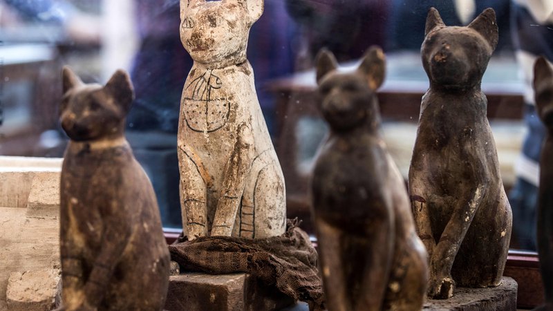 Fotografija: Kipci mačk, ki so imele v Egiptu poseben status. FOTO: Khaled Desouki/AFP