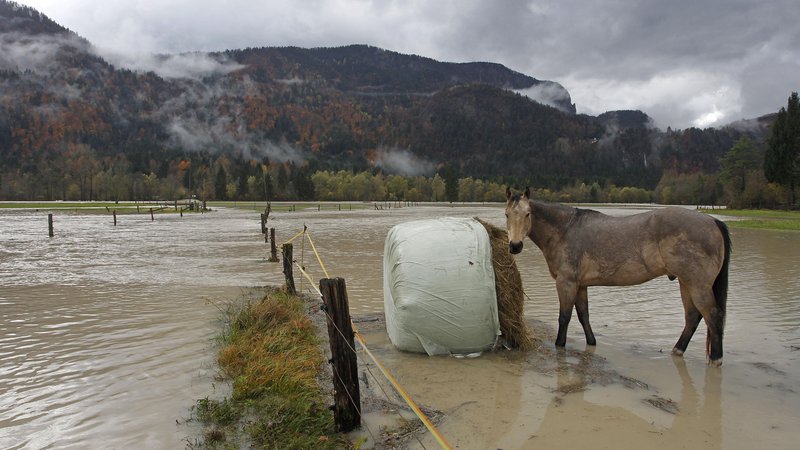Fotografija: Poplave uničijo pridelek hitreje kot suša, oboje pa se krepi. FOTO: Leon Vidic/Delo