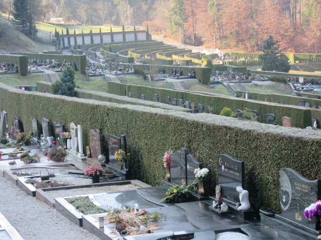 Na pokopališču Podkraj je še za največ deset let prostora, po zakonodaji ga mora biti za najmanj trideset. FOTO: Špela Kuralt/Delo