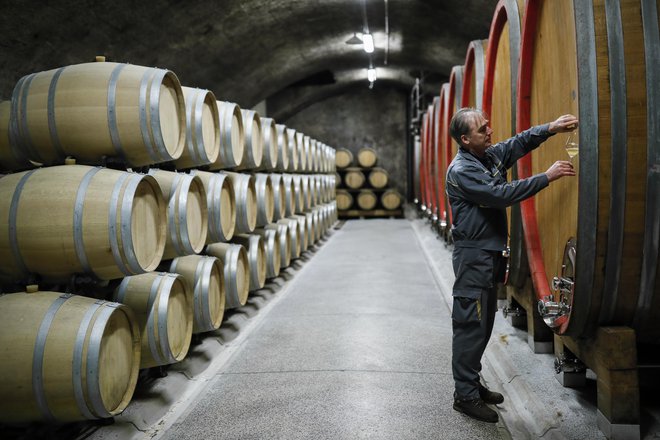 Slovenski vinarji že deset let butični po filozofiji vinogradništva, enologiji in kletarjenju. Foto Uroš Hočevar
