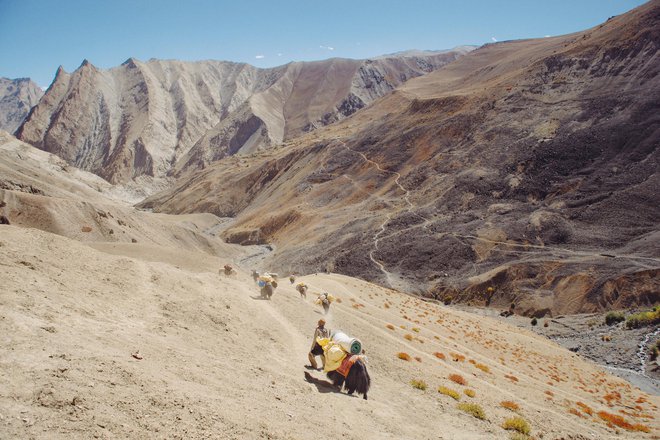 Klavir v Zanskar je bil nagrajen v kategoriji gorska narava in kultura. FOTO: arhiv festivala gorniškega filma