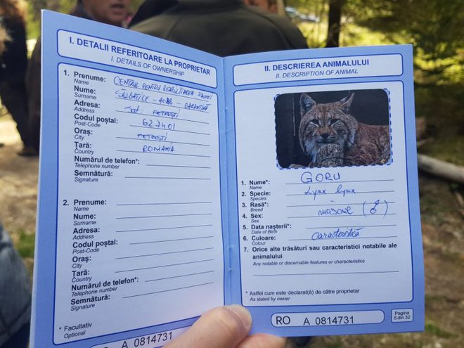 Gorujev potni list. FOTO: Life Lynx