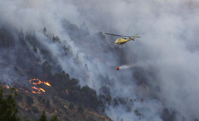 Vročina in suše upočasnjujejo rast gozdov in pospešujejo požare v Afriki. FOTO: Reuters