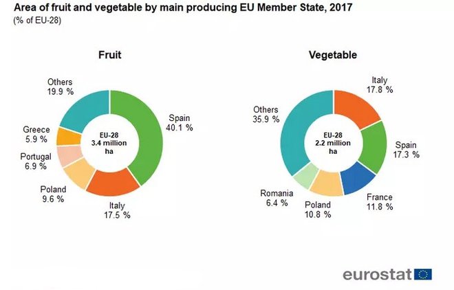 Pridelovalci sadja in zelenjave v Evropi Vir: Eurostat
