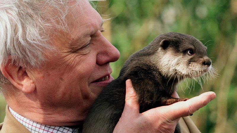 Fotografija: Najbrž ni človeka, ki bi v življenju videl več različnih živali kot David Attenborough. Foto Reuters