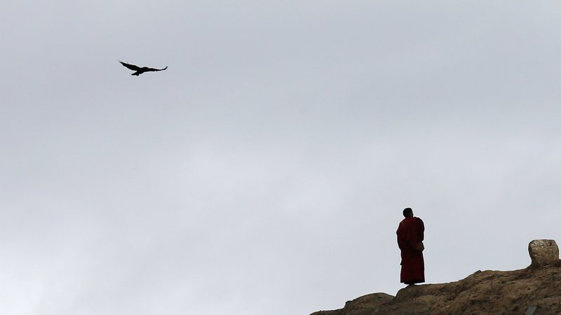 Fotografija: V Indijo se je odpravil brez vsakega cilja, trdi, a se je povsem naključno znašel v Dharamsali, kjer živi dalajlama in tudi velika kolonija prebeglih Tibetancev. FOTO: Kim Kyung Hoon / Reuters