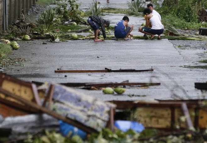 Prebivalci pobirajo kokose, ki so padli z dreves, ko je po Filipinih divjal tajfun. FOTO: Aaron Favila/AP