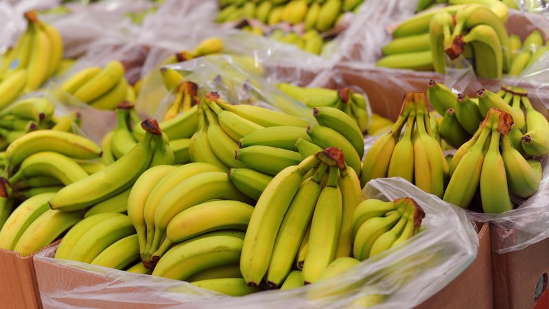 Fotografija: Podjetnik, ki je pri poslu z bananami prejel naknadno odločbo o plačilu več kot 240 tisoč evrov DDV, je vse od leta 2013 bil bitko s finančno upravo; njegov primer je prišel vse do Sodišča EU. Zdaj bo denar dobil nazaj. Tudi takšni primeri naj bi vplivali na izbiro novega prvega dacarja v državi. FOTO: Arhiv Dela
