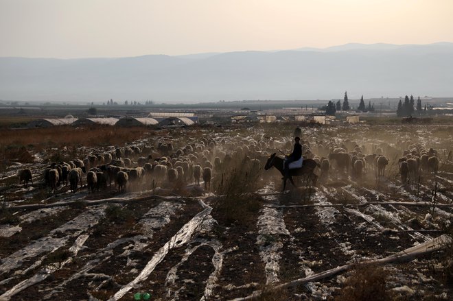 Palestinci želijo dolino reke Jordan zase, Netanjahu napoveduje njeno priključitev Izraelu. FOTO: Ammar Awad/Reuters