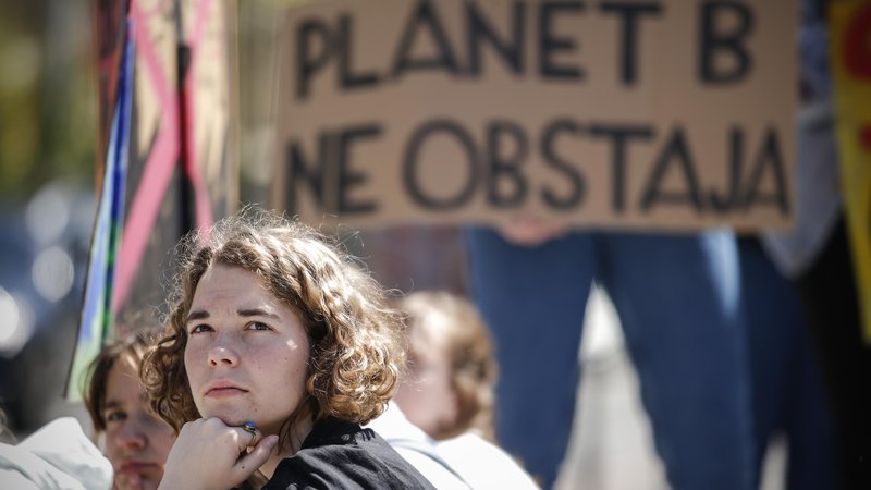 Fotografija: Planet B ne obstaja, pravijo v gibanju Mladi za podnebno pravičnost, ki ga je navdihnila švedska podnebna aktivistka Greta Thunberg. FOTO: Uroš Hočevar