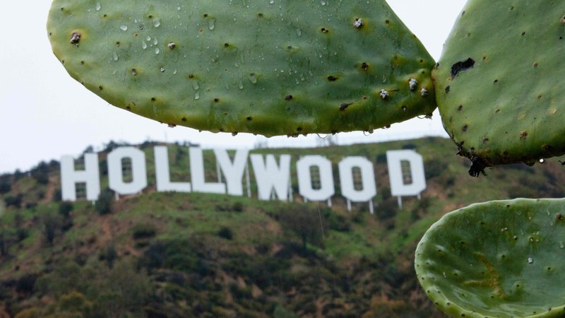 Fotografija: Hollywood je ob novi ameriški kulturni revoluciji videti zmeden. FOTO: Konrad Fiedler/AFP