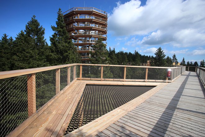 V sklopu več kot kilometer dolge lesene konstrukcije dvajset metrov nad zemljo, ki so jo poimenovali Pot med krošnjami, je 37 metrov visok razgledni stolp. FOTO: Tadej Regent