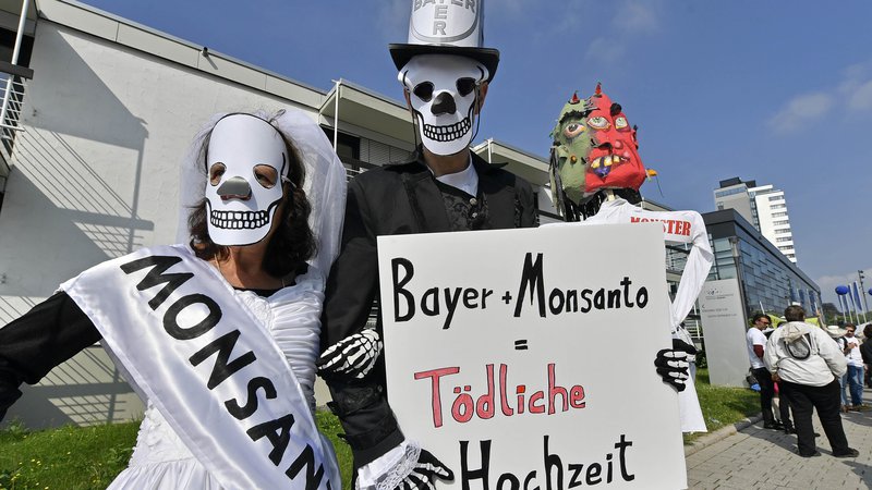 Fotografija: Kritiki se bojijo uporabe Monsantovih domnevno spornih semen. Foto AP