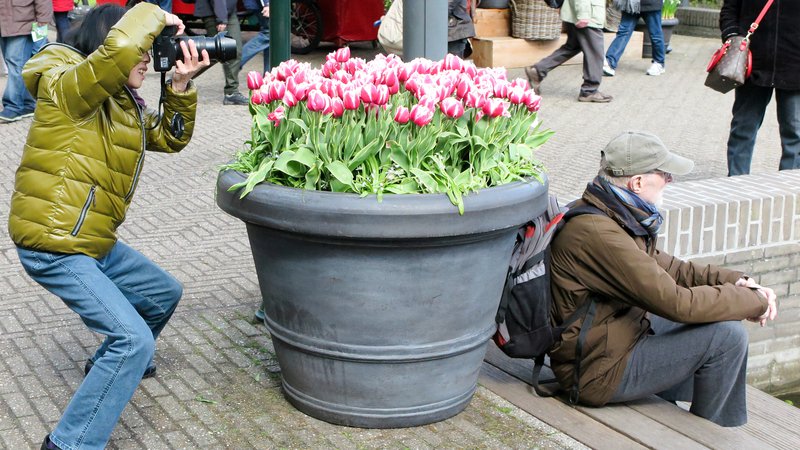 Fotografija: Nizozemska, dežela tulipanov, najbolje skrbi za upokojence. Foto Marko Feist