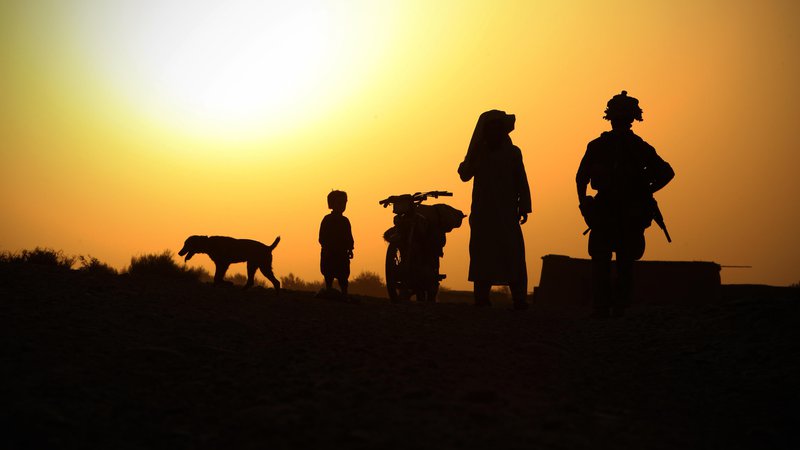 Fotografija: Pes, ljudje in puška. FOTO: Jure Eržen
