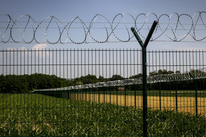 Žičnata ograja pri Razkrižju. FOTO: Voranc Vogel/Delo