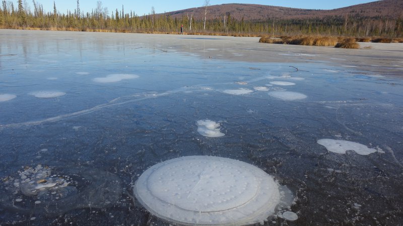 Fotografija: Mehurji metana v arktičnih jezerih. FOTO: Katey Walter Anthony/ University Of Alaska Fairbanks