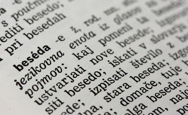 Slovar slovenskega knjižnega jezika FOTO: Leon Vidic