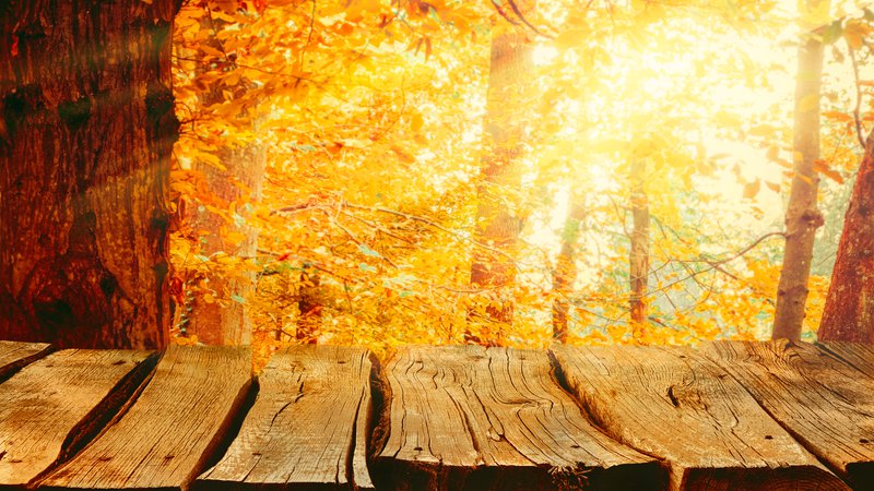 Fotografija: V naše kraje je prišla jesen, ki prinaša mrzla jutra, čez dan pa bomo deležni več sonca. FOTO: Getty Images/Istockphoto