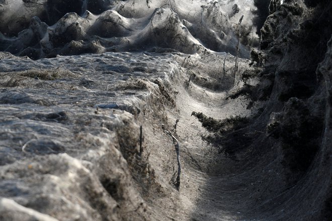 Mreža se razteza na enem kilometru. FOTO: Alexandros Avramidis/Reuters