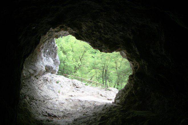 Zadnja svetloba, ki jo vidimo, preden se podamo v Zadlaško oziroma Dantejevo jamo. FOTO: Blaž Močnik