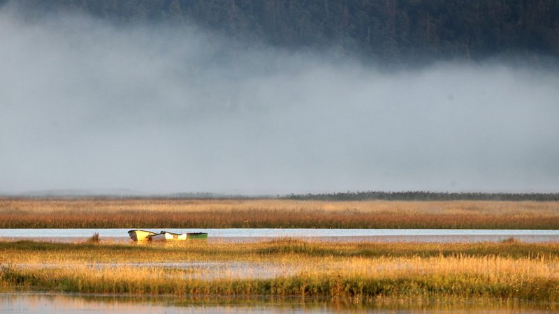 Fotografija: Meditativno vzdušje ob Cerkniškem presihajočem jezeru. FOTO: Ljubo Vukelič/Delo