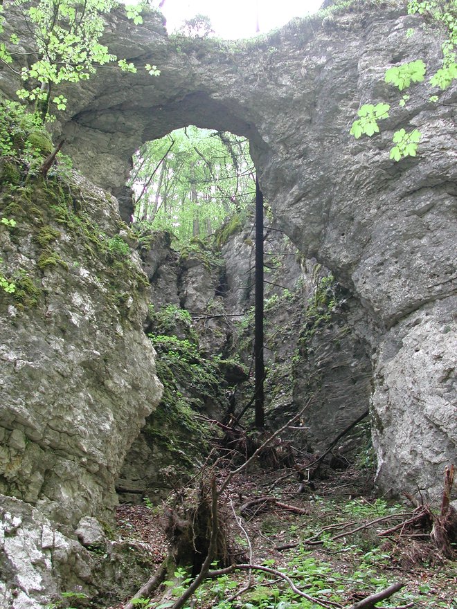 Naravni most v Pokljuški soteski. FOTO: Blaž Račič