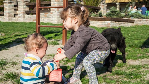 Fotografija: V Avstriji je otroški dodatek ukrep družinske politike in ga dobijo vsi otroci, višina je odvisna od njihove starosti. Foto Getty Images/istockphoto