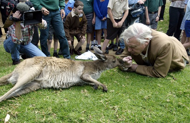 Iz oči v oči s kengurujem med obiskom živalskega vrta v Sydneyju leta 2003. FOTO: David Gray/Reuters