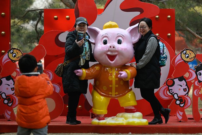 Novo leto v znamenju prašiča se je začelo in tudi fotografiranje z veliko plastično živaljo morda lahko pripomore k osebni sreči. FOTO: AFP