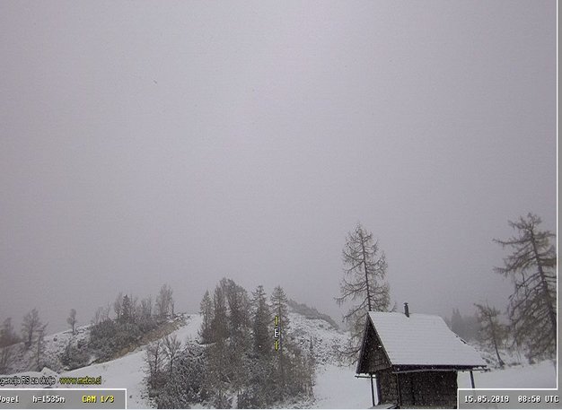 Sneži tudi na Voglu. FOTO: Spletna kamera Arsa