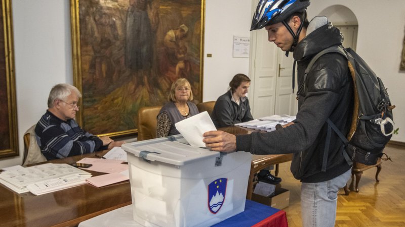 Fotografija: Okoli 250 tisoč evrov stane obveščanje volivcev v tujini. FOTO: Voranc Vogel/Delo