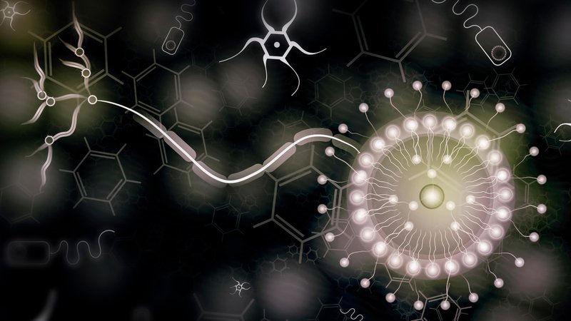 Fotografija: Pametni sistemi zdravila z nanokapsulami dostavljajo do tarčnih celic. FOTO: Shutterstock