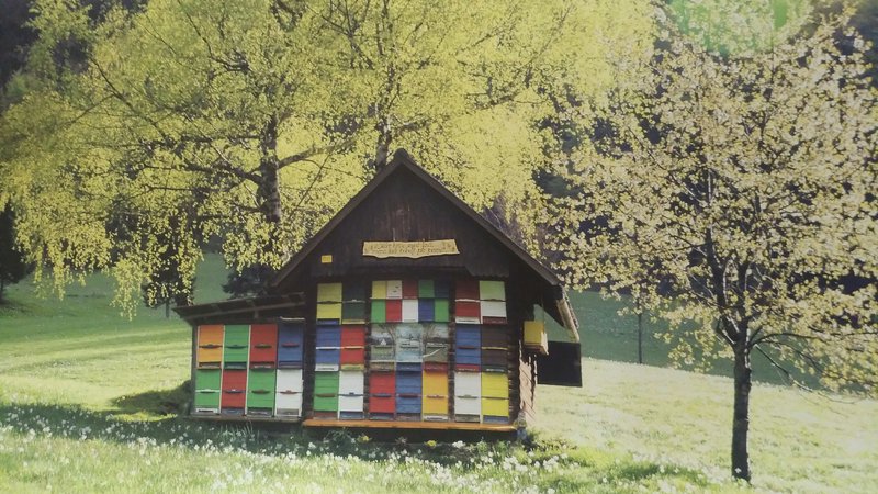 Fotografija: Čebelnjake, posebne hišice za čebele, je prvi omenil in upodobil Valvazor. Fotografija z razstave