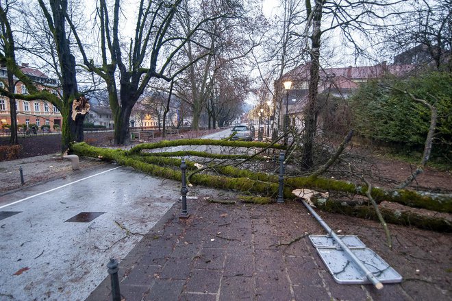 Zrušitev vej na Eipprovi ulici v Ljubljani. FOTO: Luka Vidic