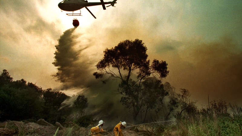 Fotografija: Obsežni požari v naravi so posledica globalnega segrevanja ozračja, ki se ga zaveda večina anketirancev. FOTO: David Gray/Reuters 
