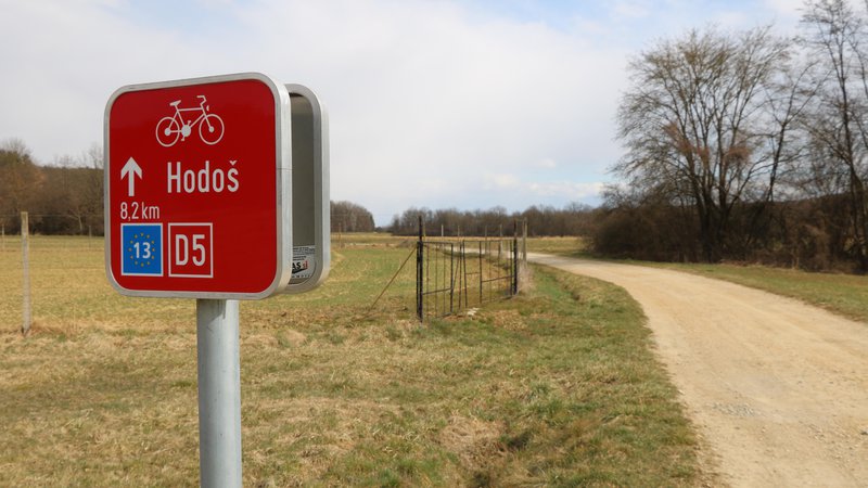 Fotografija: Trasa kolesarske poti ob železni zavesi EuroVelo 13 je označena, a zaradi pandemije koronavirusa prazna. FOTO: Jože Pojbič/Delo