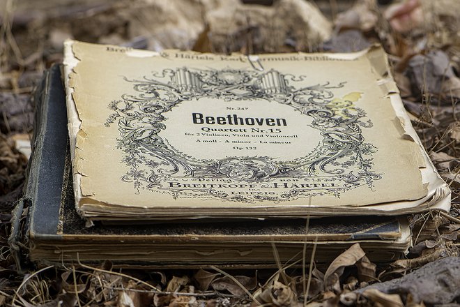 Beethovnova partitura na starem papirju. FOTO: Pixabay