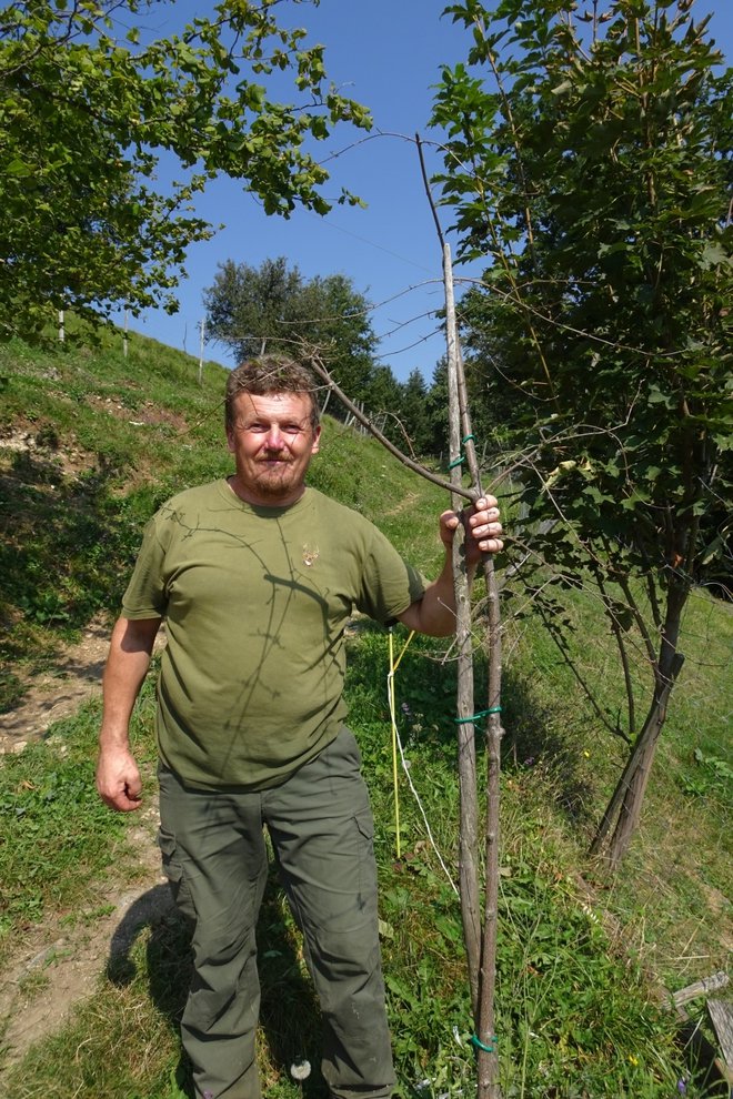 Jože Kozole je Carjevič oziroma naskrbnejši lastnik travniškega sadovnjaka na območju Kozjanskega parka za leto 2020. Foto: Kozjanski Park