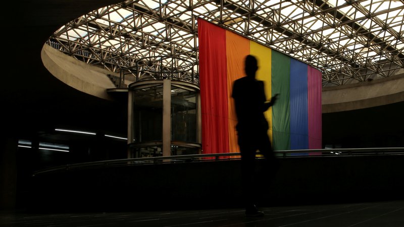 Fotografija: Če bodo spremembe sprejete, bodo prepovedani izobraževalni programi o istospolni usmerjenosti in oglaševanje na temo LGBT. FOTO: Carla Carniel/Reuters