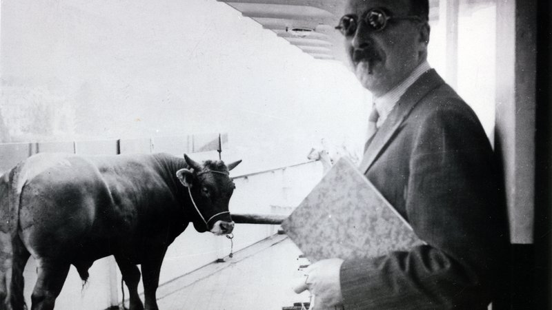 Fotografija: Stefan Zweig na poti iz Brazilije v Argentino leta 1936 Foto Atrium Press