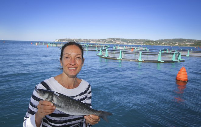 Ko iz vode potegnejo ribe, jih dajo pod led, naslednji dan pa so že v trgovini, pravi Irena Fonda. FOTO: Jože Suhadolnik/Delo