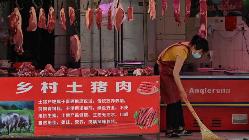 Fotografija: Svetovna zdravstvena organizacija je med drugim pozvala k nadaljnjim raziskavam živalskih tržnic v in okoli kitajskega mesta Wuhan, kjer je virus najprej izbruhnil. FOTO: Hector Retamal/AFP