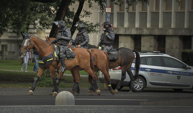 Policija je bila močno prisotna. FOTO: Jože Suhadolnik/Delo