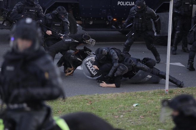 Policija je več poretstnikov zbila na tla in jih odvlekla. FOTO: Voranc Vogel/Delo
