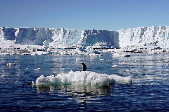 Tudi na Antarktiki je izbruhnila epidemija. FOTO: Pauline Askin/Reuters Pictures
