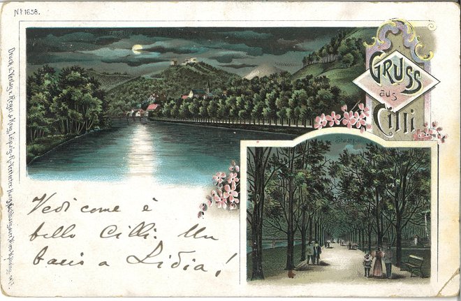 Pogled na Savinjo in mestni park v mesečini, pozno 19. stoletje. FOTO: hrani OKC
