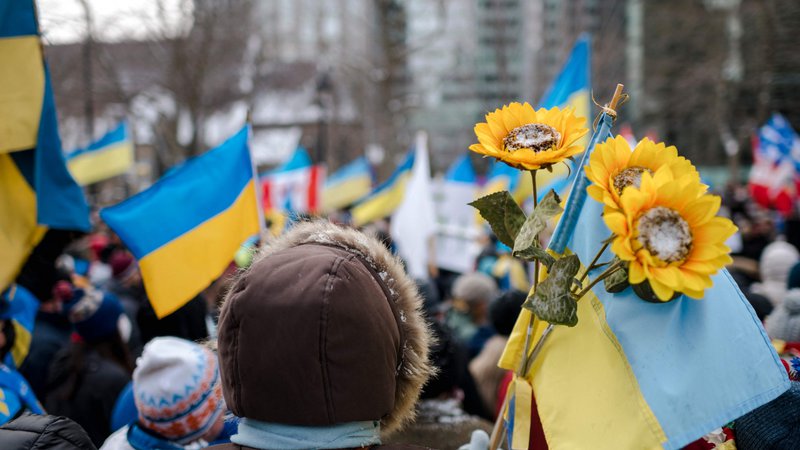 Fotografija: Sončnice spremljajo tudi proteste proti vojni po številnih drugih državah. FOTO: Andrej Ivanov/Afp
