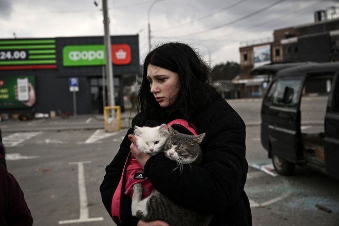 Tudi mačke so med begunkami iz Irpina. FOTO: Aris Messinis/AFP
