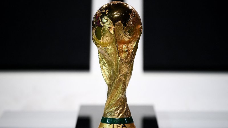 Fotografija: Kdo bo na koncu dobil pokal za svetovnega prvaka? FOTO: Franck Fife/AFP
